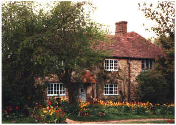 Goldring1a.jpg (664973 bytes)